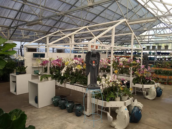 نهضة البيع بالتجزئة: قامت Turner Garden بتجديد Greenhouse لزيادة المبيعات لعام 2021