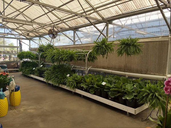 نهضة البيع بالتجزئة: قامت Turner Garden بتجديد Greenhouse لزيادة المبيعات لعام 2021