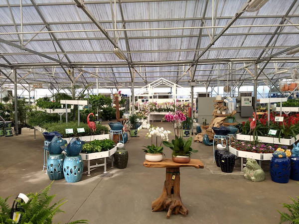 نهضة البيع بالتجزئة: قامت Turner Garden بتجديد Greenhouse لزيادة المبيعات لعام 2021