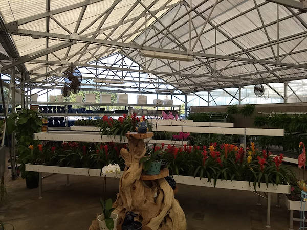 نهضة البيع بالتجزئة: قامت Turner Garden بتجديد Greenhouse لزيادة المبيعات لعام 2021