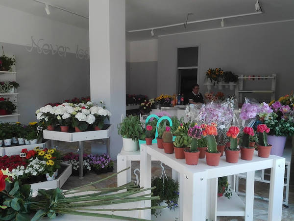 Rêve fleuri, le nouveau Flower Shop