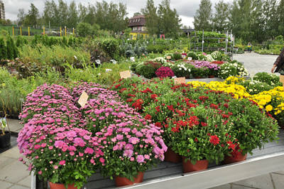 RUSSIA - MOSCOW - The official opening of the Garden Center in a new format!