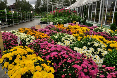 RUSSIA – MOSCU' - La inauguración oficial del Centro de jardinería