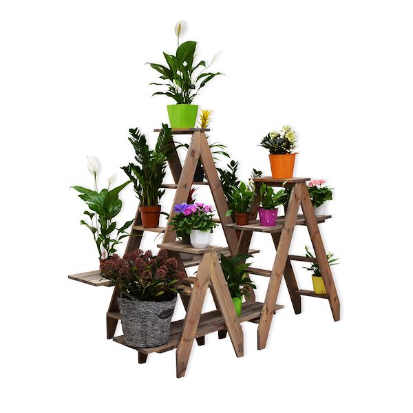 Ladders for plants and flowers