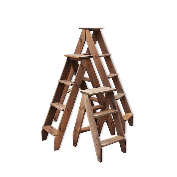 Ladders for plants and flowers