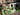 Senape pépinière urbaine, le monde du vert dans le centre de Bologne