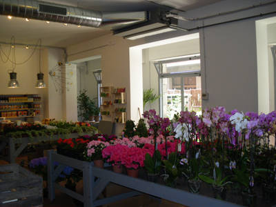 Senape pépinière urbaine, le monde du vert dans le centre de Bologne