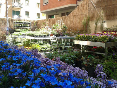 Senape vivaio urbano, el mundo verde nel centro de la ciudad de Bologna 