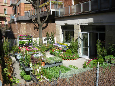 Senape vivaio urbano, il mondo del verde nel centro di Bologna