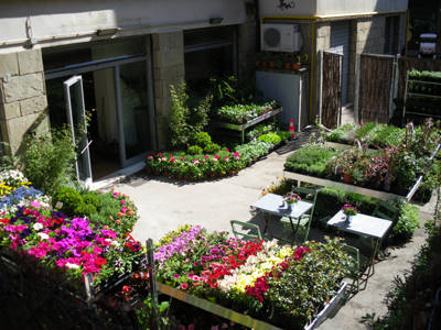 Senape vivaio urbano, the green world in Bologna city center