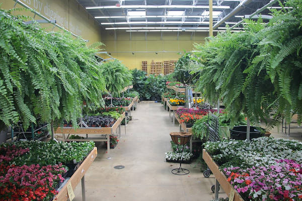 Serie AMOR für die Neugestaltung des Pflanzen- und Blumenbereichs von „Urban Hardware“