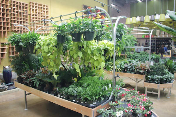 Serie AMOR für die Neugestaltung des Pflanzen- und Blumenbereichs von „Urban Hardware“