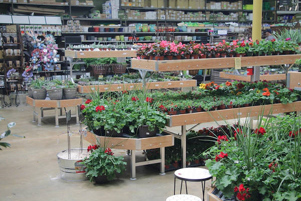 Serie AMOR für die Neugestaltung des Pflanzen- und Blumenbereichs von „Urban Hardware“