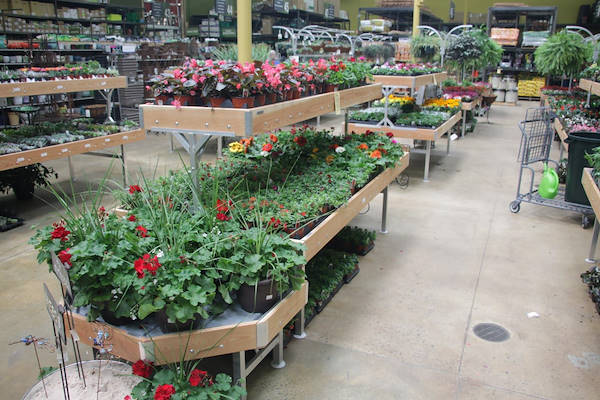 Serie AMOR für die Neugestaltung des Pflanzen- und Blumenbereichs von „Urban Hardware“