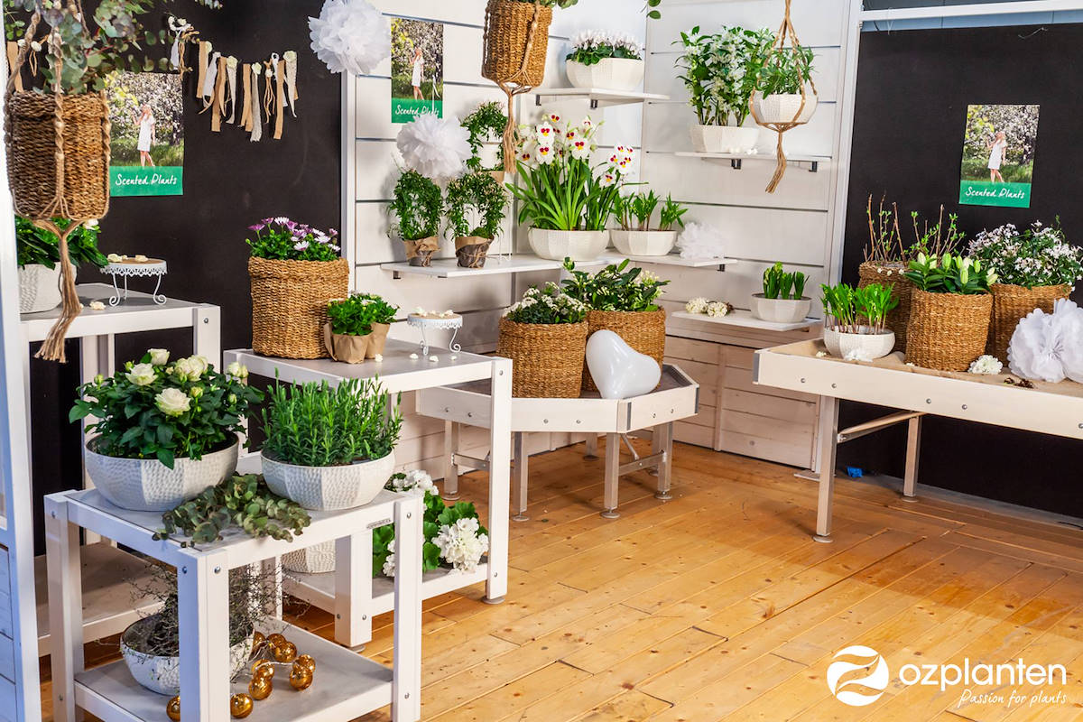 Serra - Garden Center Identity