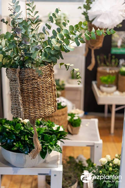 Serra - Garden Center Identity