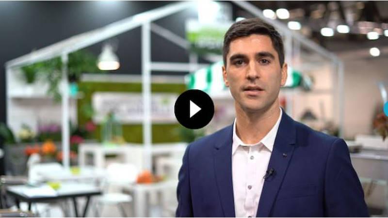 Servizi Marketing Orlandelli