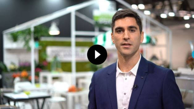 Servizi Marketing Orlandelli