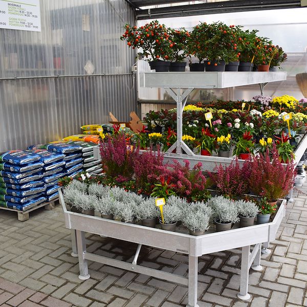 The new look of Garden Frediani