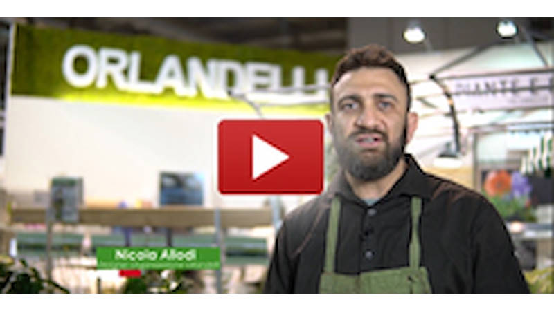 Sfruttare lo spazio nell'esposizione di piante e fiori