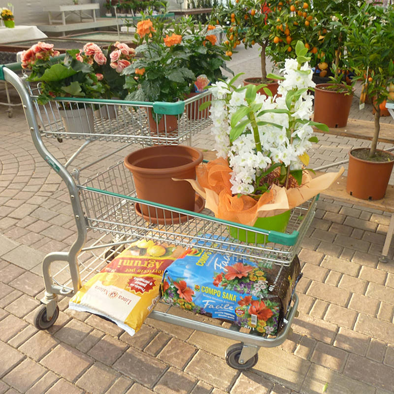 Shopping cart Garden flor 3 shelves