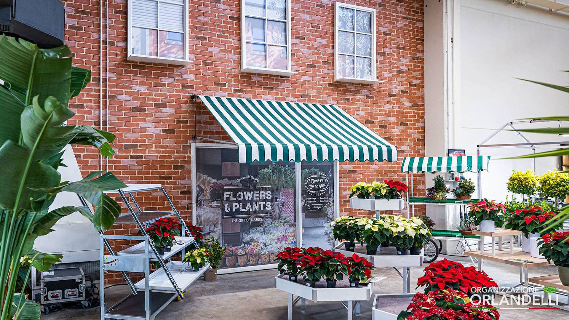 Ideas e inspiración para su centro de jardinería