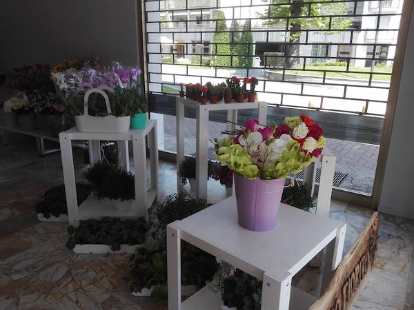 Sogno Fiorito, il nuovo Flower Shop
