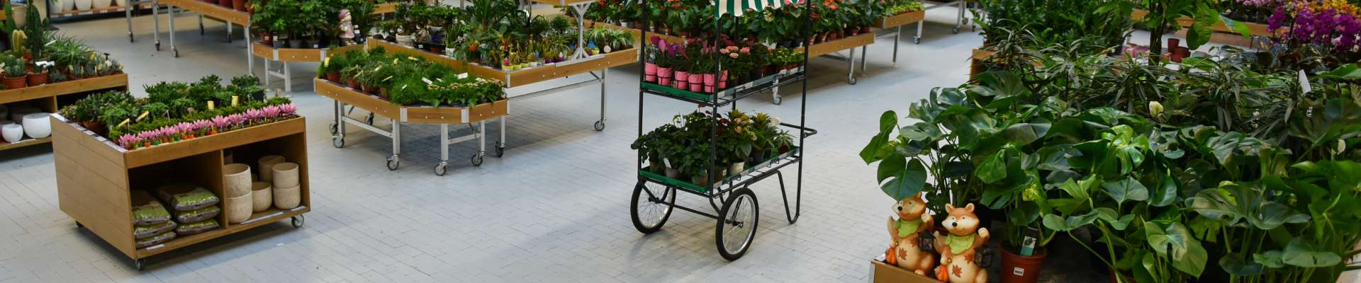 NOUS CONCEVONS LES ESPACES DE VOTRE CENTRE JARDINIÈRE