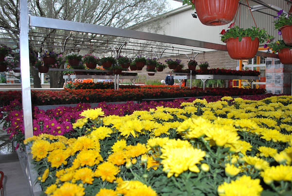 معرض هوم ديبوت المكسيك