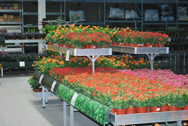 معرض هوم ديبوت المكسيك