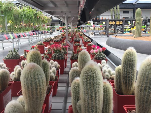 Desert City, il deserto più grande di Madrid