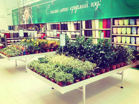 SUN GREEN – Saratov. Il secondo Garden Centre in Russia di questa catena.  