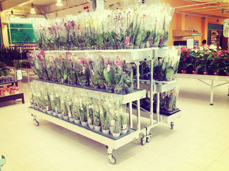 SUN GREEN – Saratov. Il secondo Garden Centre in Russia di questa catena.  