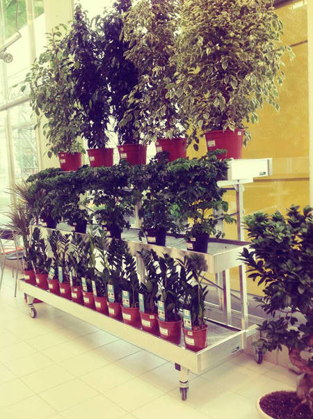 SUN GREEN – Saratov. Il secondo Garden Centre in Russia di questa catena.  