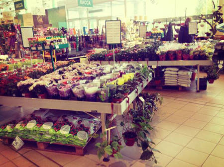 SUN GREEN – Saratov. Il secondo Garden Centre in Russia di questa catena.  