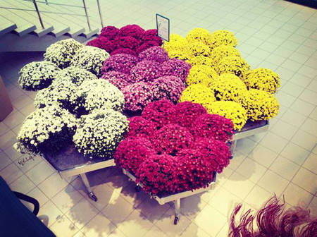 SUN GREEN – Saratov. It's their 2nd Garden Centre in Russia 