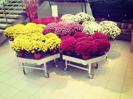 SUN GREEN – Saratov. Le deuxième centre de Jardinage en Russie de cette chaîne de magasins