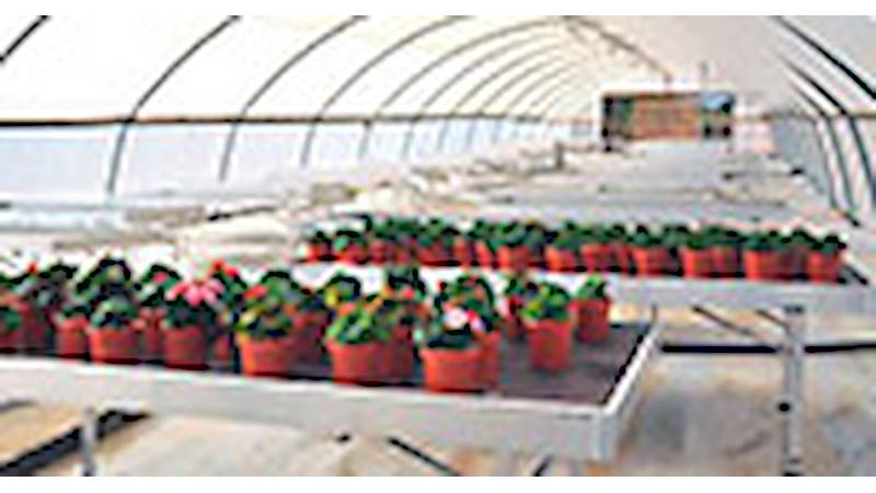 Supply plant and flower benches to a major Israeli company