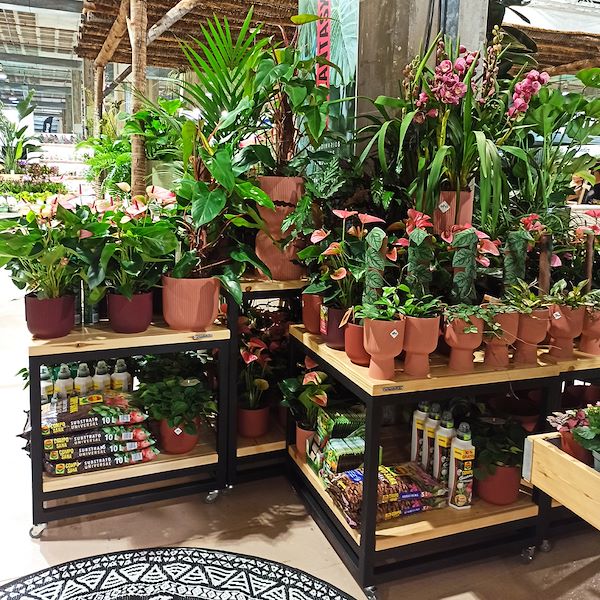 Mesa con dos estantes de madera sobre ruedas