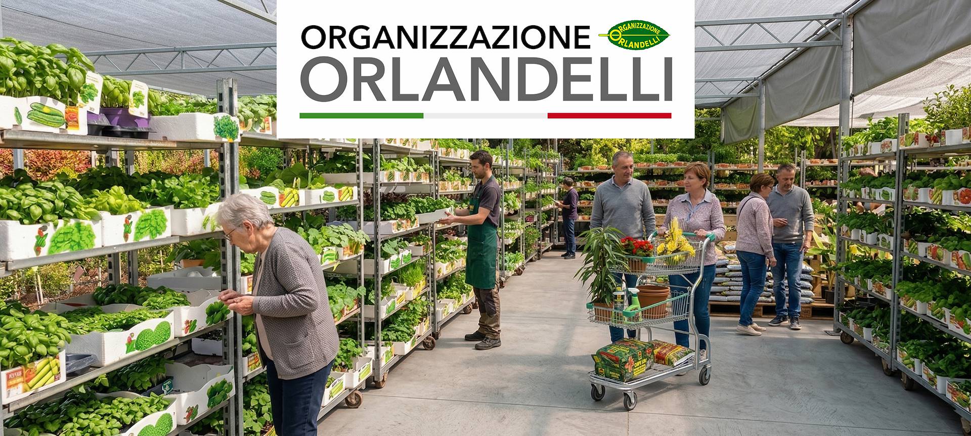 Organizza la Primavera