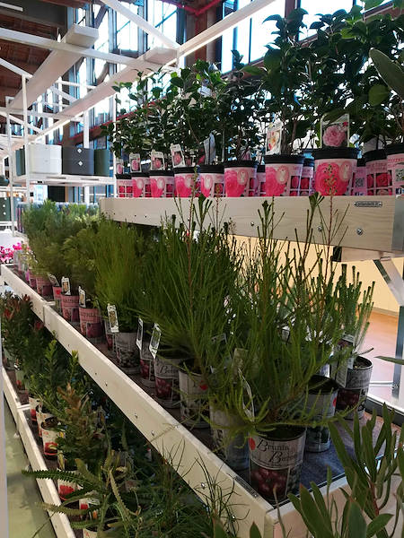 The Flora Toscana Greenhouse