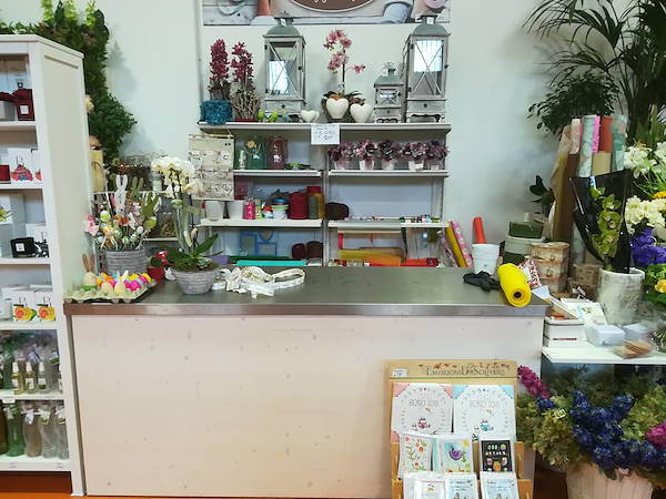 المفهوم الجديد بافيوتي من قبل أورلانديلي