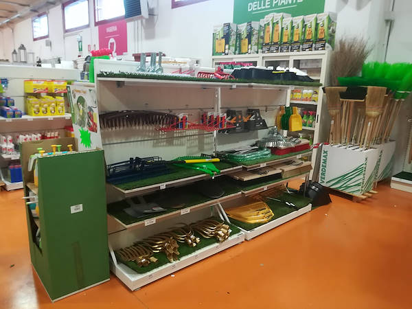 المفهوم الجديد بافيوتي من قبل أورلانديلي