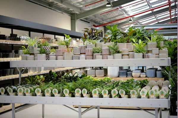 The new Flower Power Garden Center