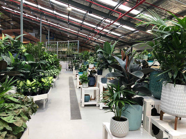 The new Flower Power Garden Center