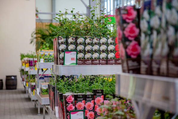 Indoor