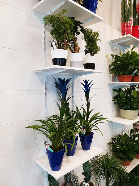 تم تجديد المظهر الجديد لـ Oasi dei Fiori في ميلانو بتصميم شاب وأنيق