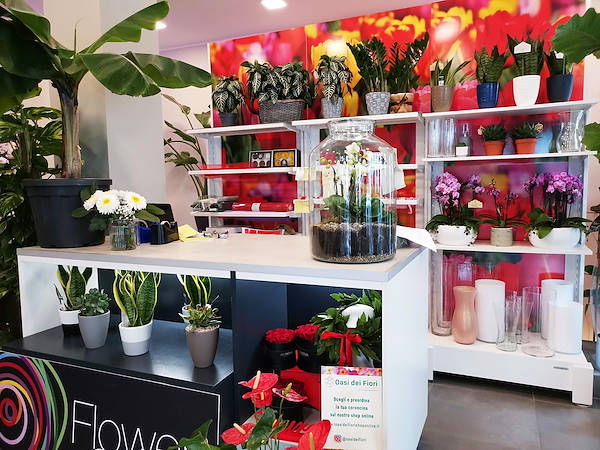 تم تجديد المظهر الجديد لـ Oasi dei Fiori في ميلانو بتصميم شاب وأنيق