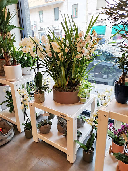 تم تجديد المظهر الجديد لـ Oasi dei Fiori في ميلانو بتصميم شاب وأنيق