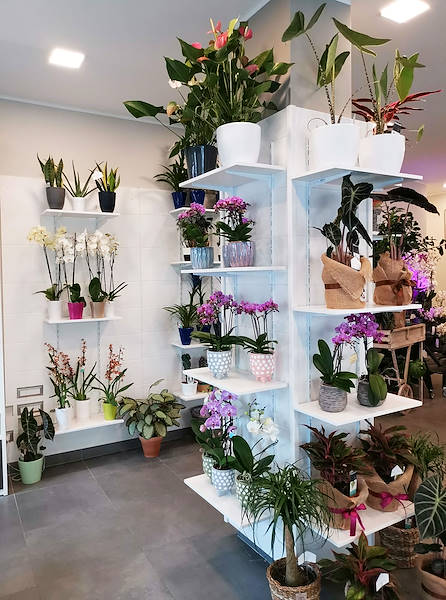 تم تجديد المظهر الجديد لـ Oasi dei Fiori في ميلانو بتصميم شاب وأنيق